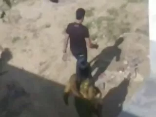Pequeña polla con videos xxx caseros maduras Europea Perras videos.